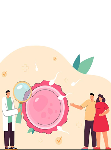 How Many Embryos Are Created in IVF? Understanding the Process and Factors