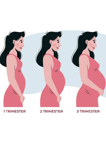 IVF Pregnancy Week by Week: Symptoms and Safety