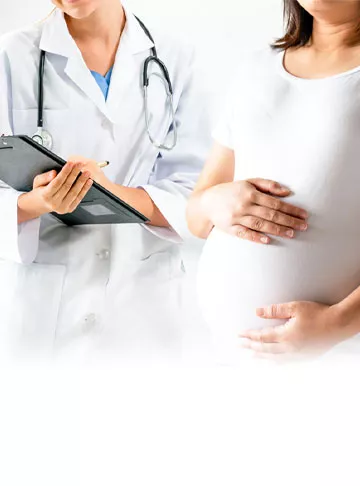 Fertility Foods For Women
