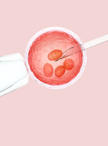 आईवीएफ (IVF) से संतान प्राप्ति तक का सफर