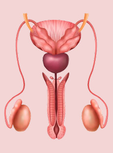 varicocele in hindi