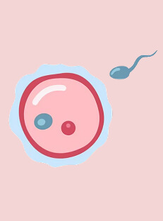 एम्ब्रियो ट्रांसफर के बाद प्रेगनेंसी के लक्षण | IVF प्रेगनेंसी सिम्पटम्स