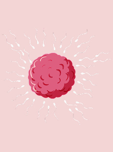 स्पर्म क्वांटिटी और क्वालिटी कैसे ठीक करें (Sperm Kaise Badhaye)