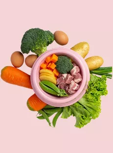 PCOS Diet Plan