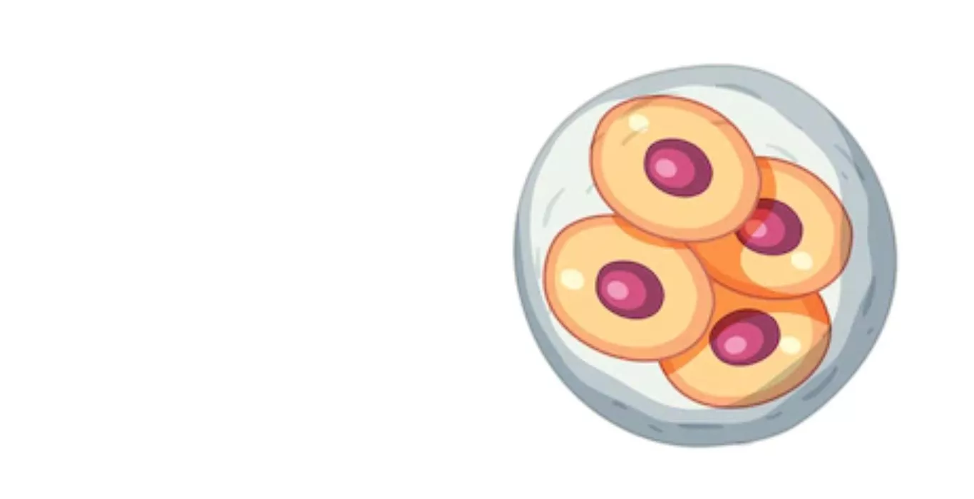 Embryo Donor 