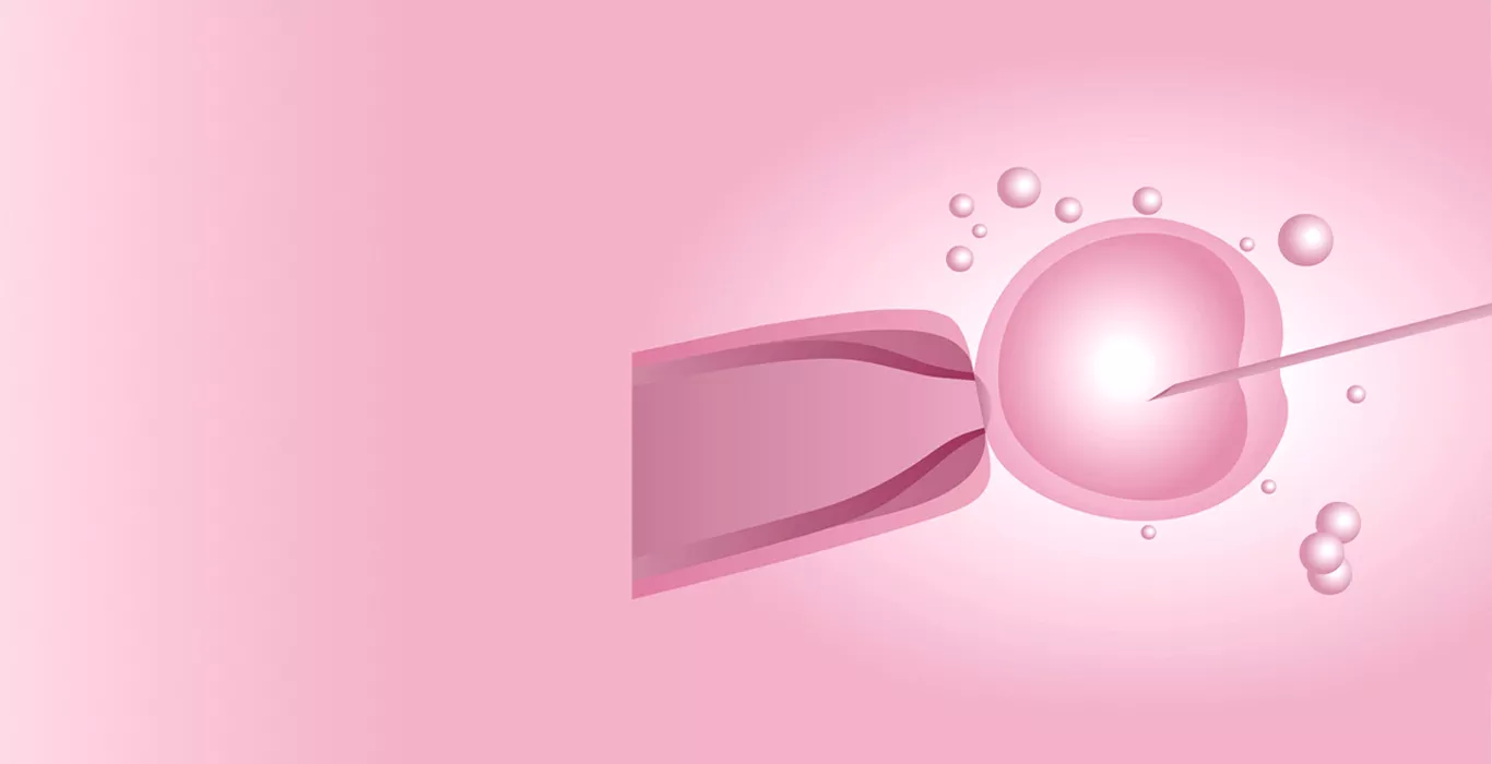 Egg Donor