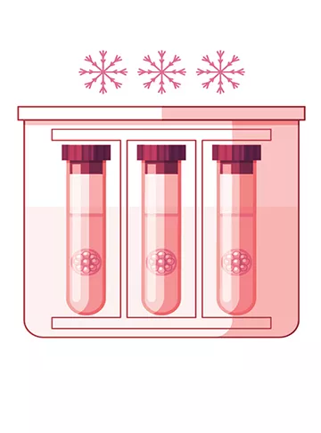 Cryopreservation FAQs