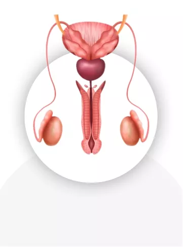 Why Choose Indira IVF?