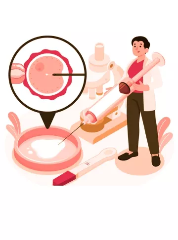 Sperm Donation Process